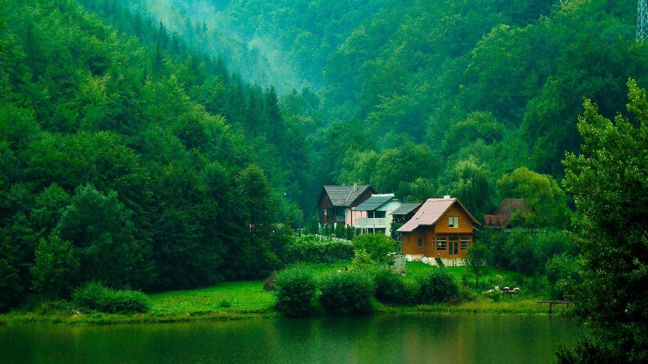 网红商城